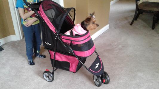 Out of Stock - GEN7PETS Regal Plus Pet Stroller, Starry Night - Chewy.com