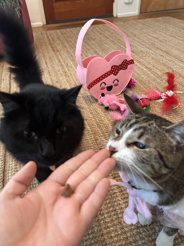 Both of them eager to try it