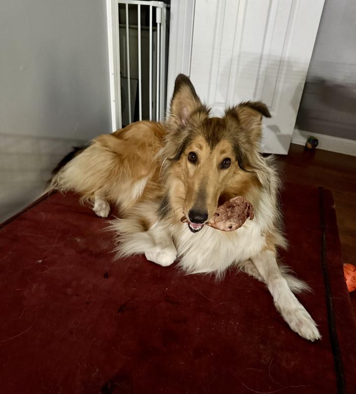 Ignoring her brothers hesitation