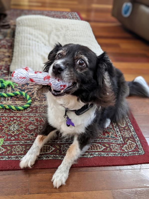 Playing with her new toy