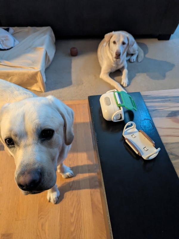 The missing piece. Sad puppy times.