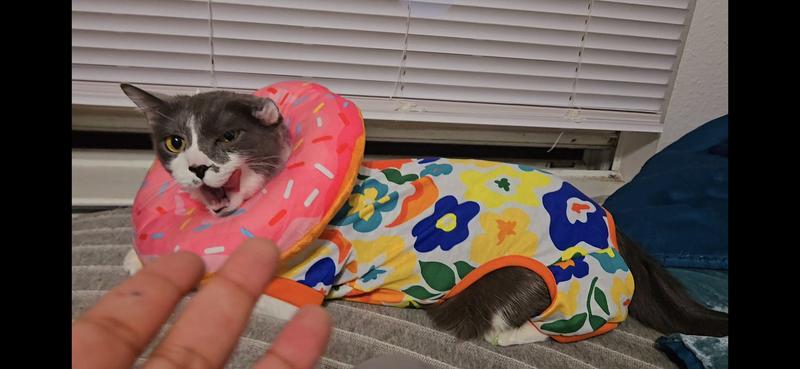 Misty in her cozy anxiety gear