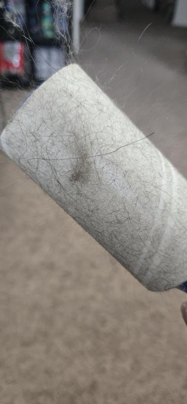 This is how much hair/lint came off with first pass