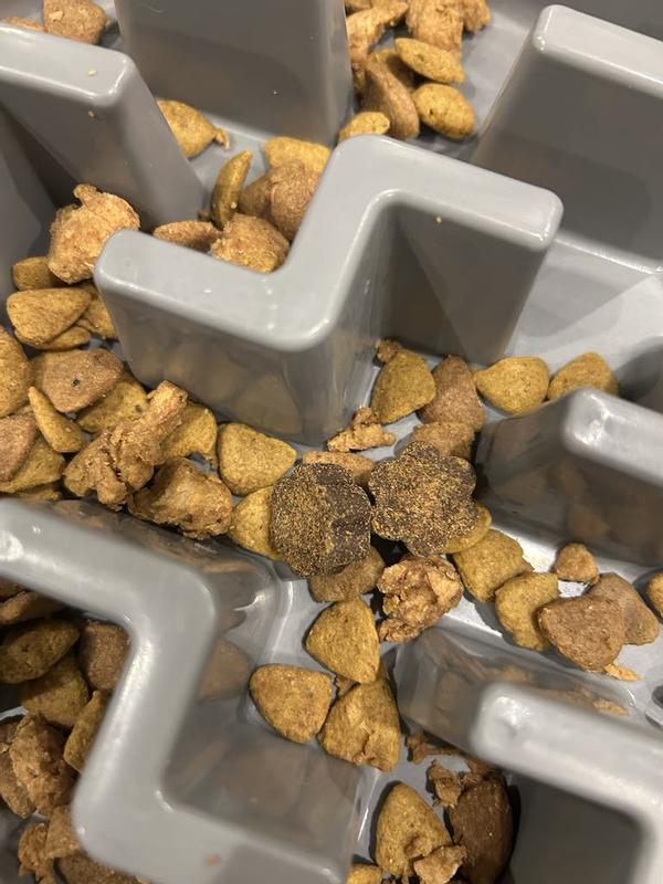 My dog eats these as a daily supplement in her kibble