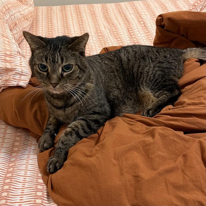 Old man finally gaining weight