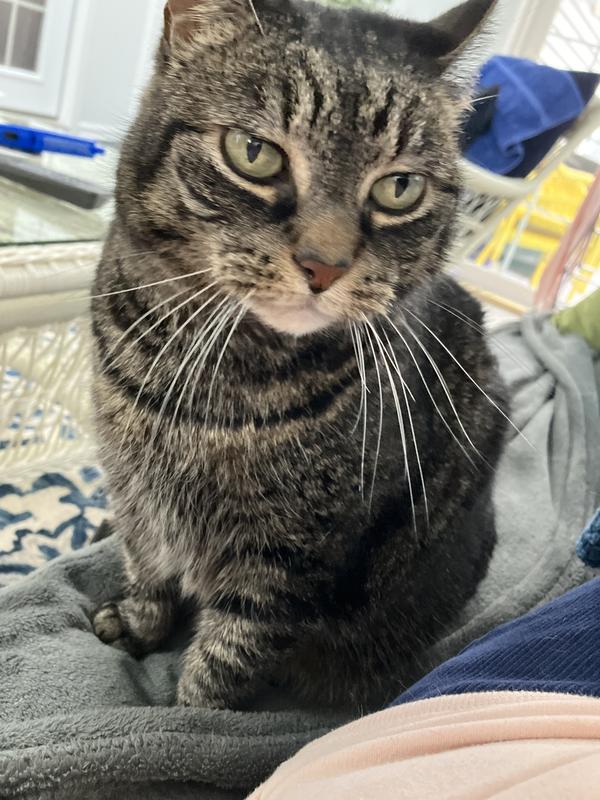 Heidi was a show-up on my doorstep seven years ago. Now she's my best friend.