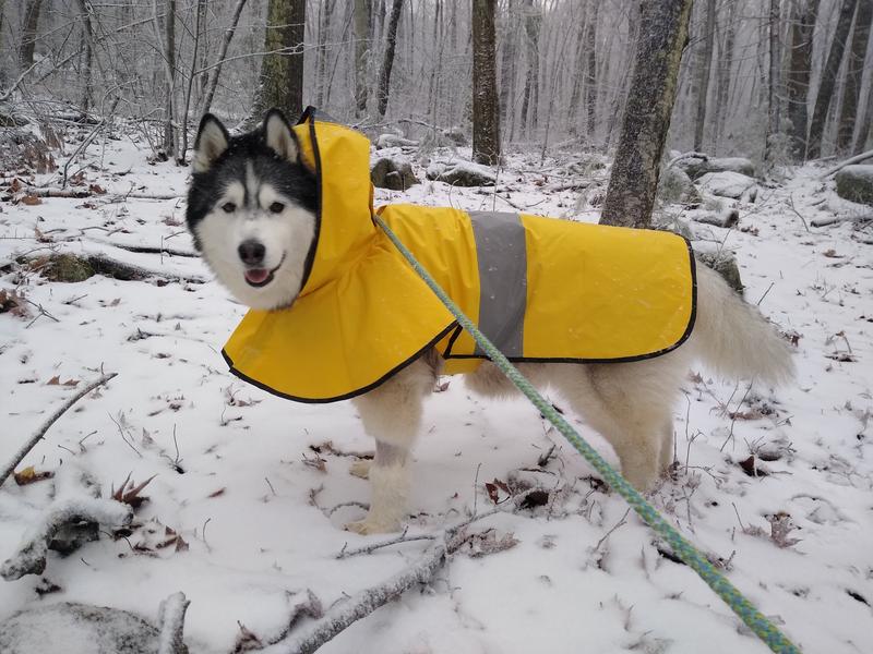 Full coverage Waterproof Large Dog raincoat #1