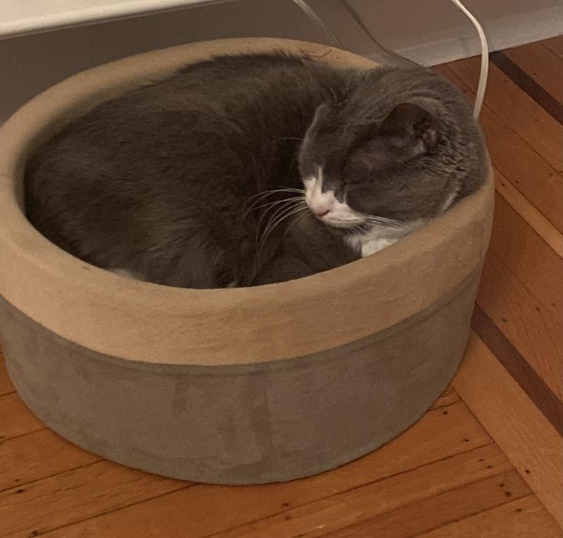 GREENIES Pill Pockets Feline Catnip Flavor Natural Soft Adult Cat