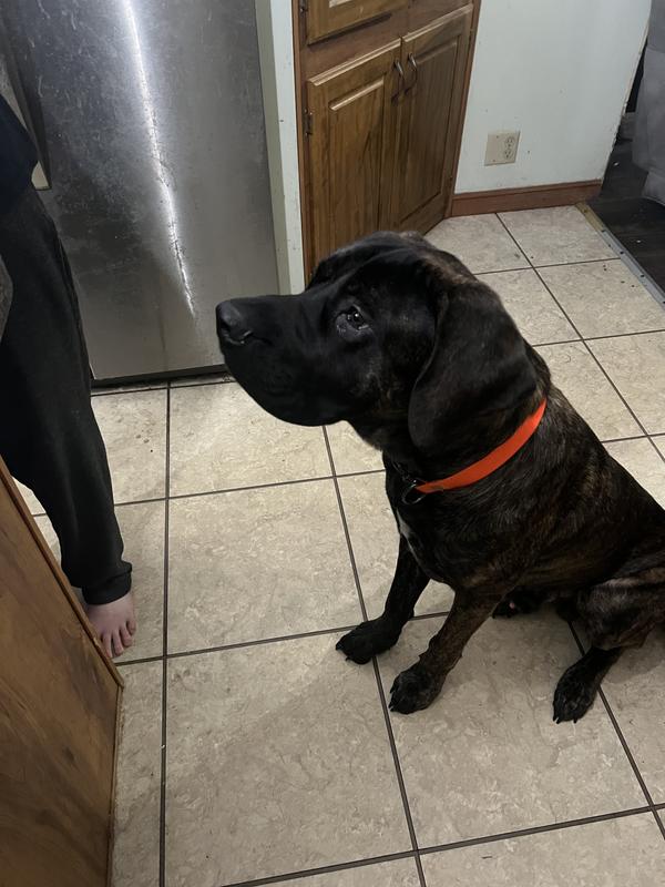 Waiting so patiently!