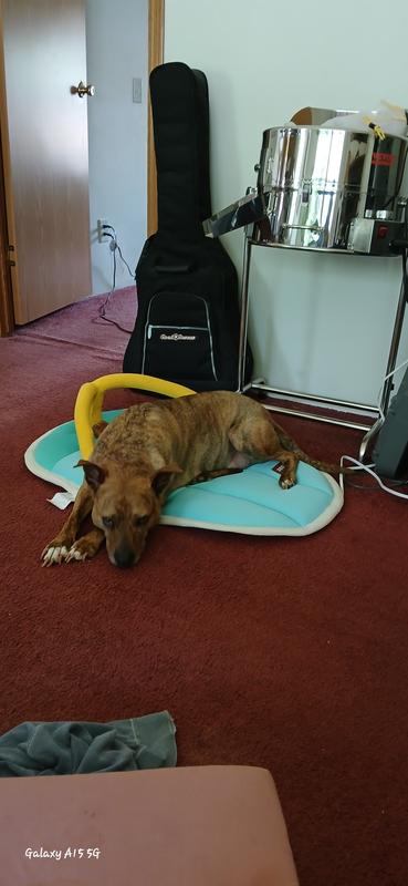 He is not overly impressed