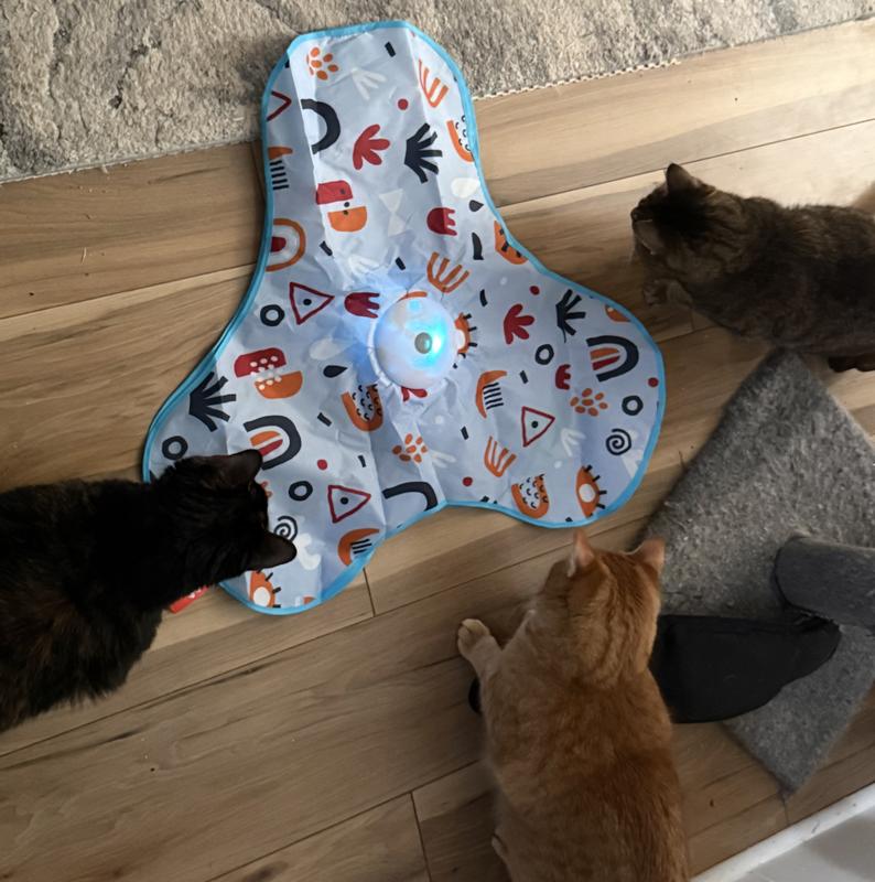 Cats playing with the toy.