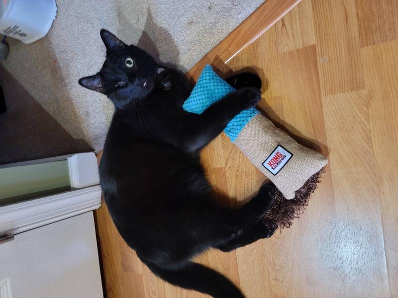  KONG - Kickeroo™ Cozie™ - Play Enticing Cat Toy