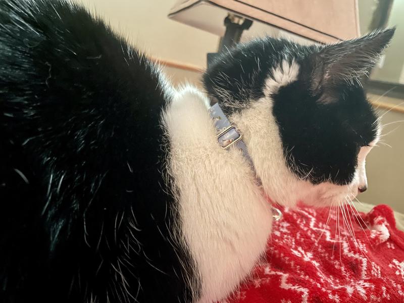 Caboose showing how the collar fits .