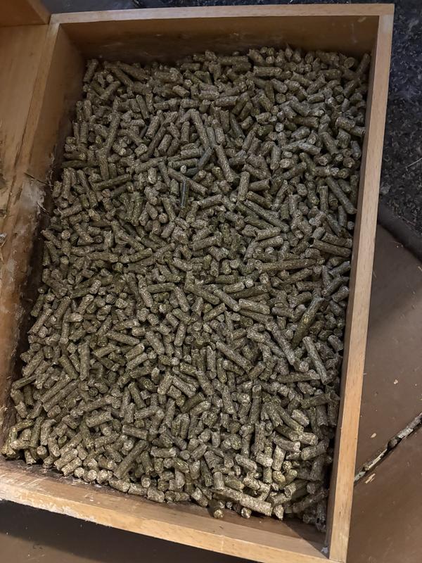 Large pellets