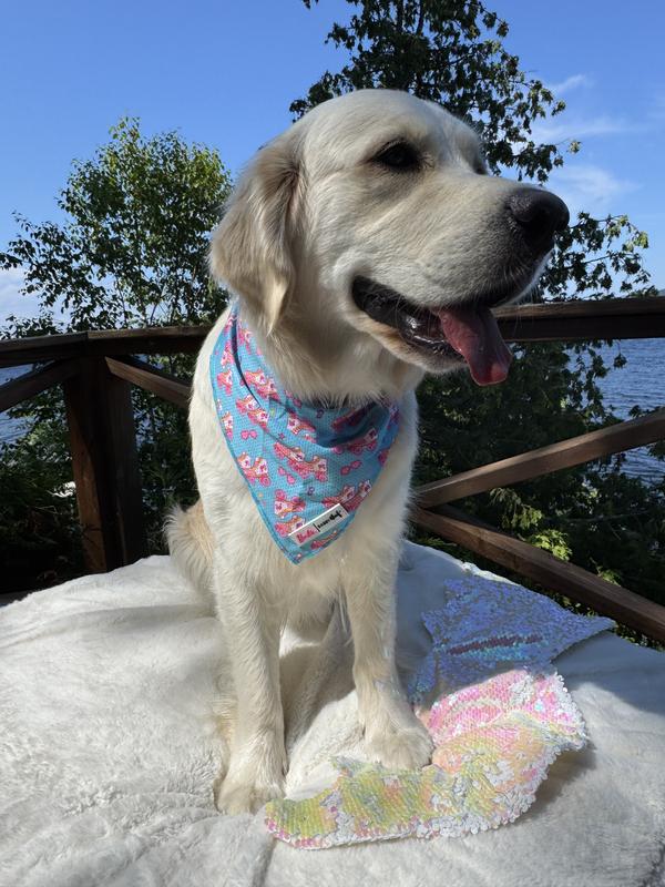 Barbie On A Roll Bandana