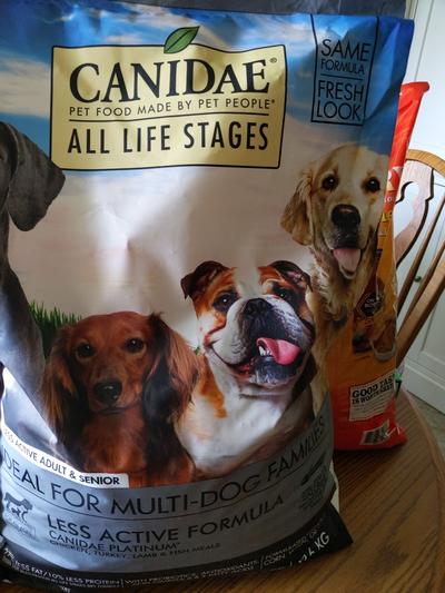 Canidae platinum dog outlet food reviews