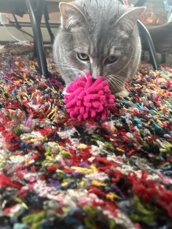 Meow liked them too!