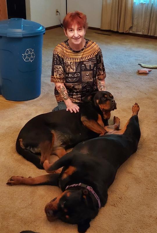 Human with two Rottweiler dogs laying on her lap.