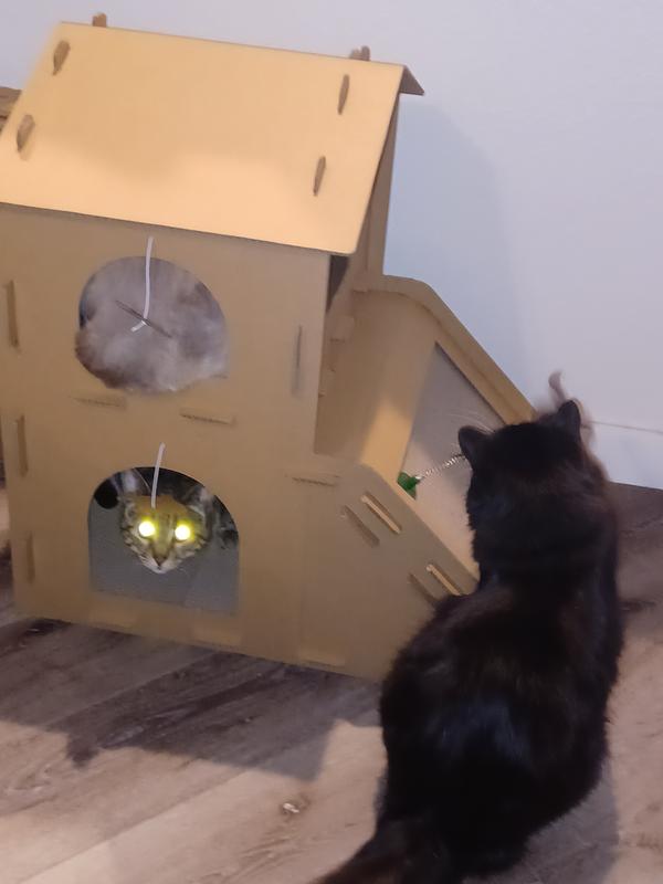 Ignore that my cat is a demon.