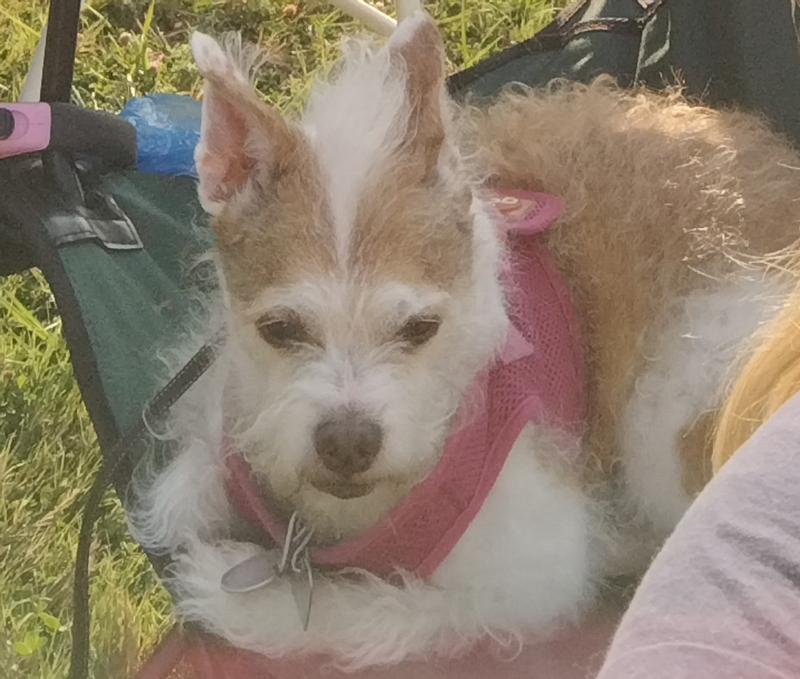 Zoey