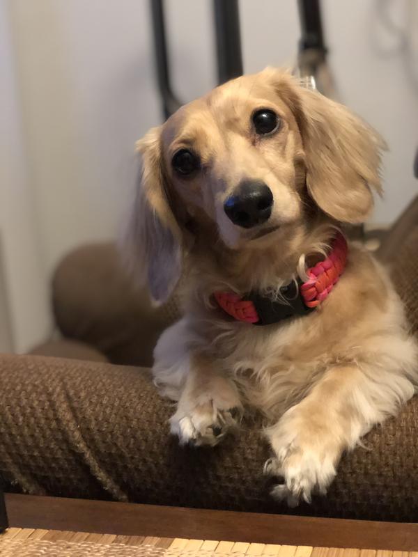 My Avery the most beautiful girl in the world !😍