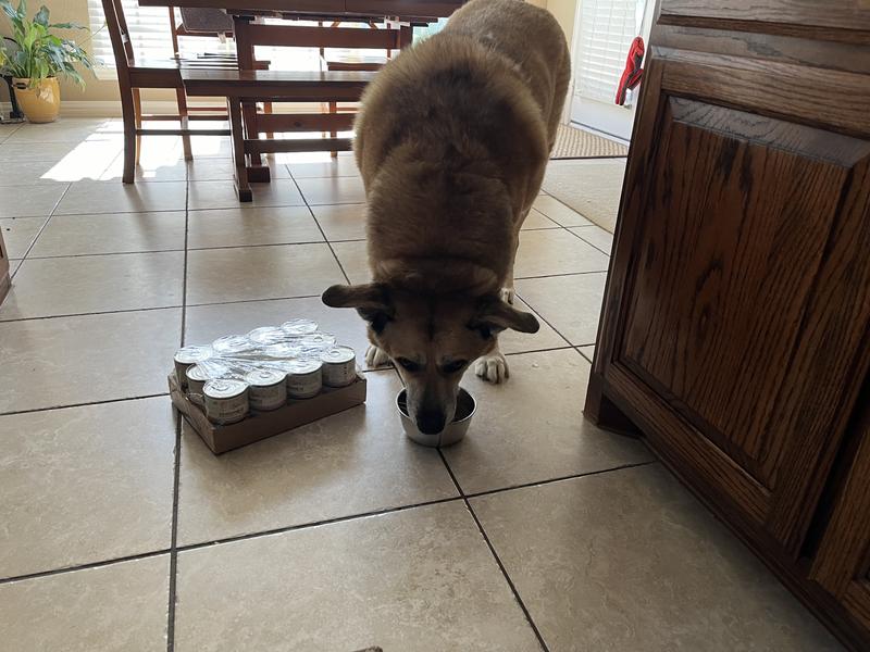 Rocky says “yum!”