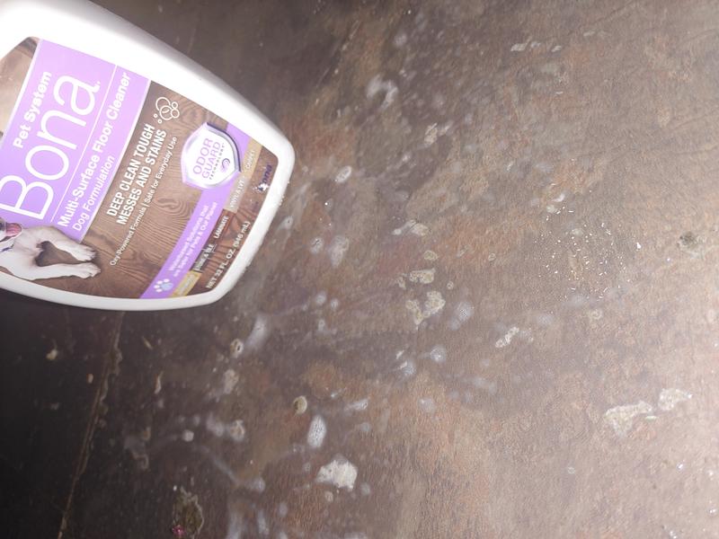 Using Bona Pet System Multi Surface Cleaner on my Boxer dogs dirty messes.