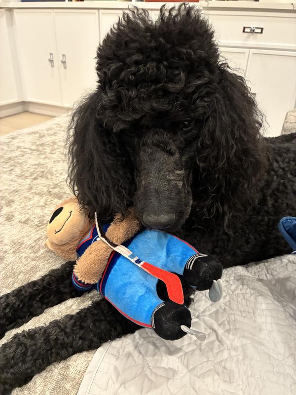 Layla and her new hockey player squeaky toy