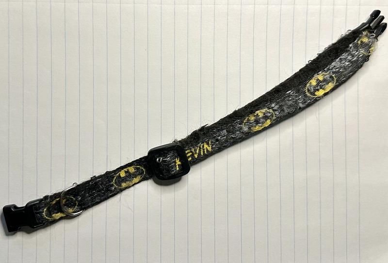 R.I.P. Batman collar - Kevin always wins.