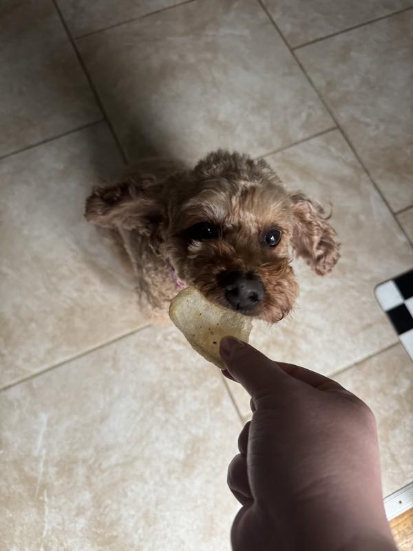 She took the treat but then dropped it until later when I tried breaking off pieces