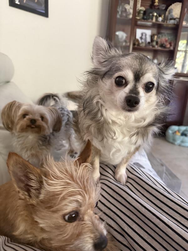 2 out of 3 ain’t bad!