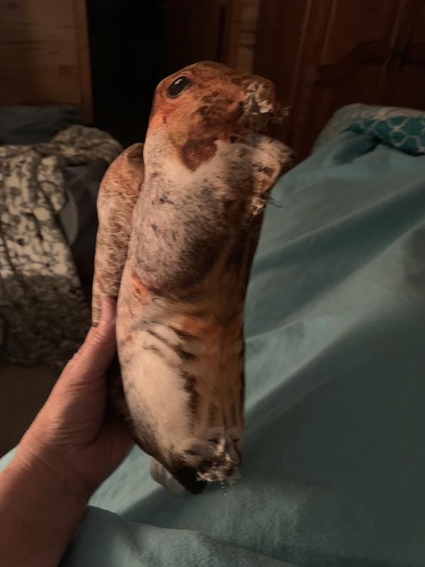 Doggijuana Get Outside Refillable Juananip Squirrel Squeaky Dog Plush Toy
