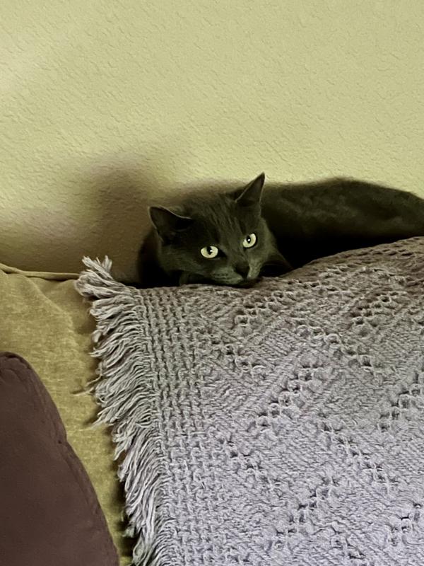 Don’t take my picture, mom