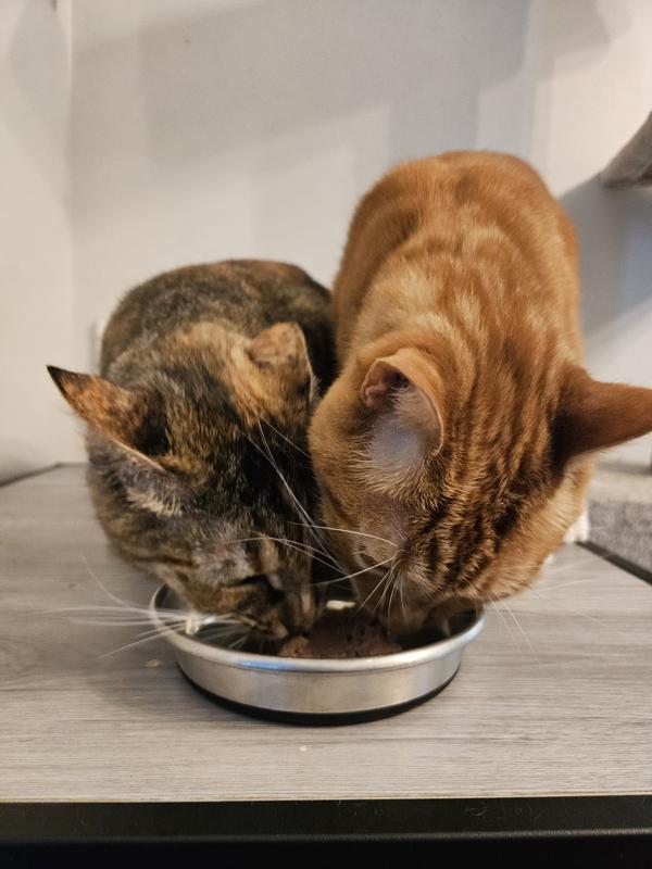 Sharing is caring :)