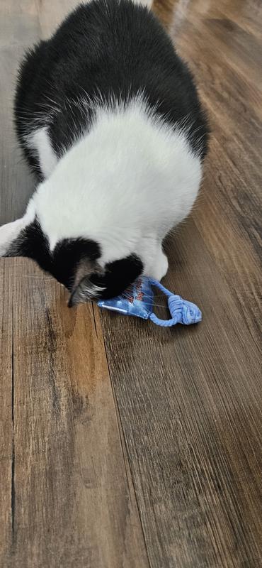 He couldn't be interrupted for a picture!
