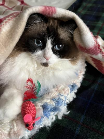 Maya says Thank You!