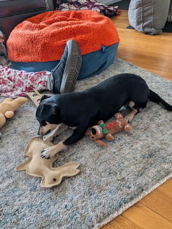 Mae with the rabbit.