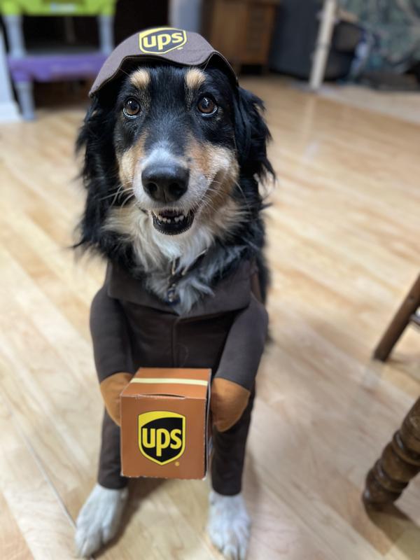 ups delivery man costume