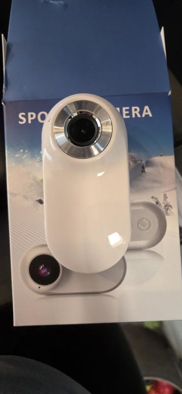 Creative way to view the world from your pups eyes