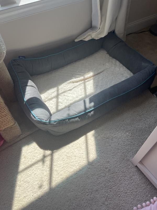 Perfect for older dogs