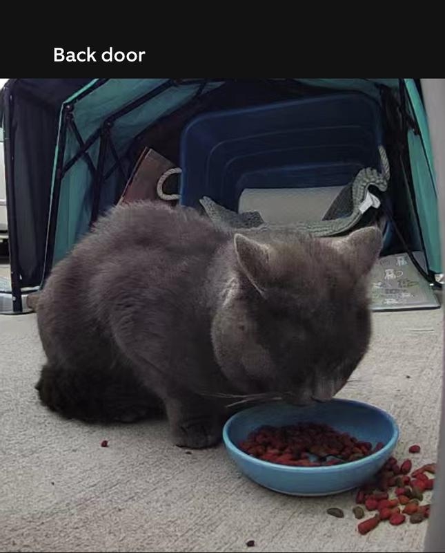 He can not get enough