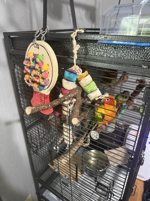 Cute cage decor but bigger than the birds