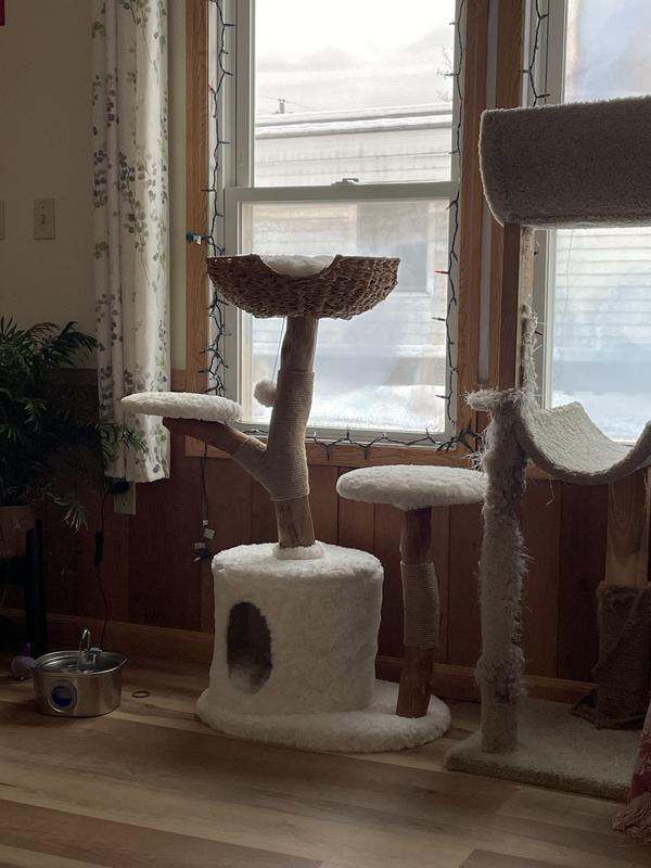 Beautiful piece of furniture