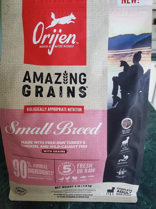 Orijen Small Breed ドッグフード Amazon.com: ORIJEN Grain Free High Protein Dry Dog Food