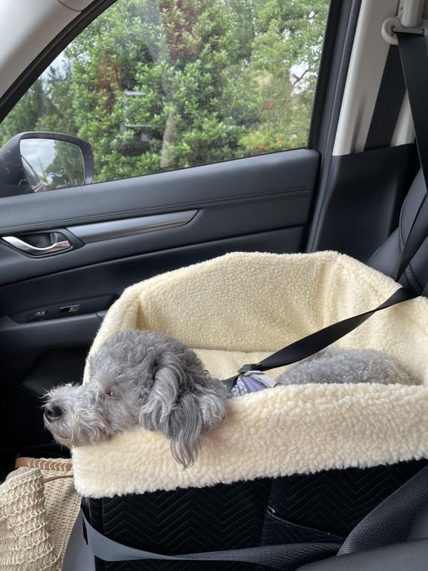 Asleep at the wheel?