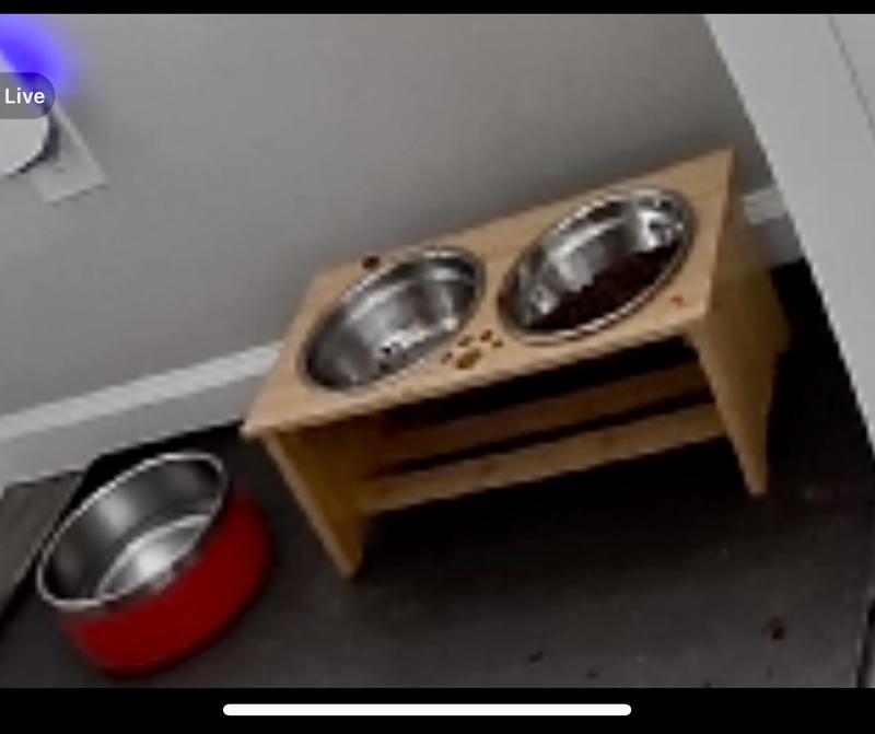 Empty Bowl!