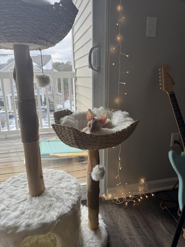 Beautiful, cozy cat tree.