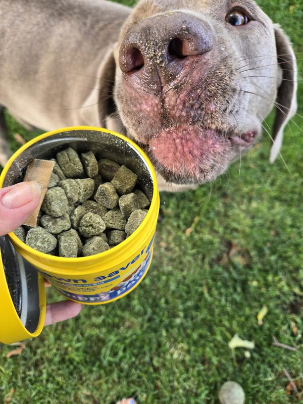 She cant wait for her snack!