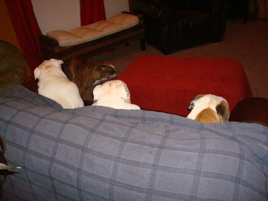 Kids watching TV
