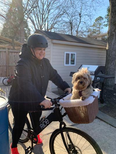 Chewy dog bike basket new arrivals